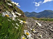 12 Sul 204 per il Lago Moro con vista in Corno Stella e Monte Chierico